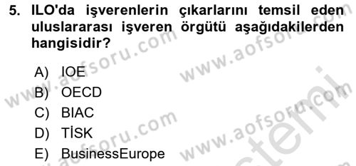 Endüstri İlişkileri Dersi 2024 - 2025 Yılı Yaz Okulu Sınav Soruları 5. Soru