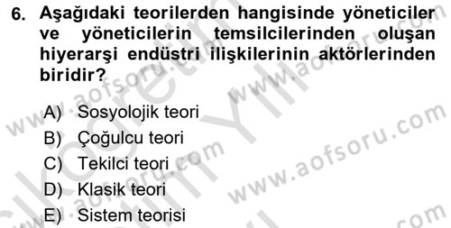Endüstri İlişkileri Dersi 2024 - 2025 Yılı Yaz Okulu Sınav Soruları 6. Soru