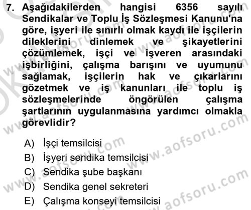 Endüstri İlişkileri Dersi 2024 - 2025 Yılı Yaz Okulu Sınav Soruları 7. Soru