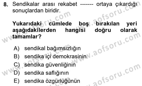 Endüstri İlişkileri Dersi 2024 - 2025 Yılı Yaz Okulu Sınav Soruları 8. Soru