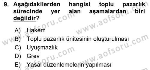 Endüstri İlişkileri Dersi 2024 - 2025 Yılı Yaz Okulu Sınav Soruları 9. Soru