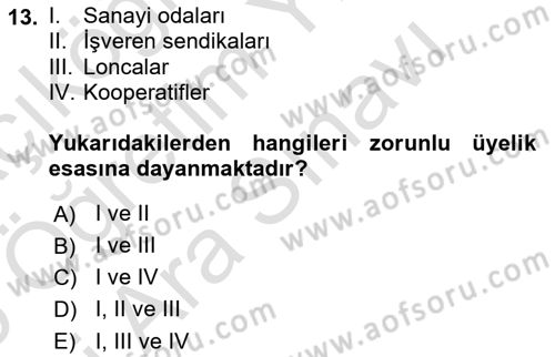 Endüstri İlişkileri Dersi 2025 - 2026 Yılı (Vize) Ara Sınav Soruları 13. Soru