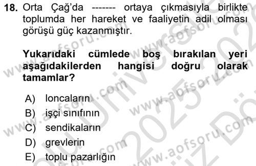 Endüstri İlişkileri Dersi 2025 - 2026 Yılı (Vize) Ara Sınav Soruları 18. Soru