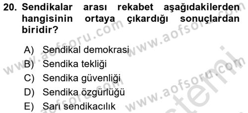 Endüstri İlişkileri Dersi 2025 - 2026 Yılı (Vize) Ara Sınav Soruları 20. Soru