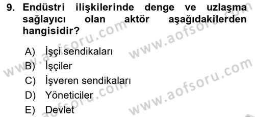Endüstri İlişkileri Dersi 2025 - 2026 Yılı (Vize) Ara Sınav Soruları 9. Soru