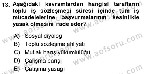 Endüstri İlişkileri Dersi 2025 - 2026 Yılı (Final) Dönem Sonu Sınav Soruları 13. Soru
