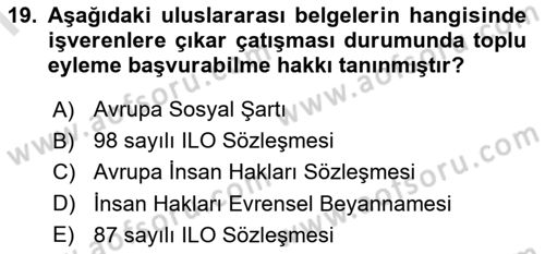 Endüstri İlişkileri Dersi 2025 - 2026 Yılı (Final) Dönem Sonu Sınav Soruları 19. Soru