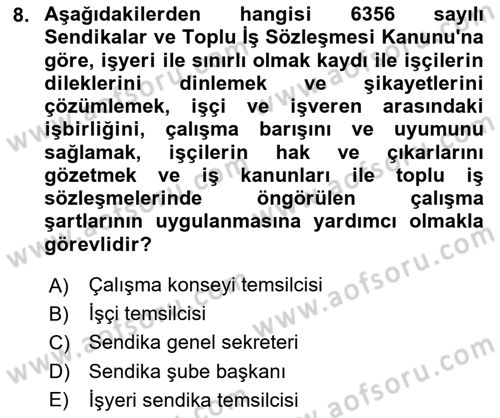Endüstri İlişkileri Dersi 2025 - 2026 Yılı (Final) Dönem Sonu Sınav Soruları 8. Soru