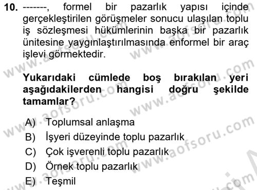 Endüstri İlişkileri Dersi 2025 - 2026 Yılı Yaz Okulu Sınav Soruları 10. Soru