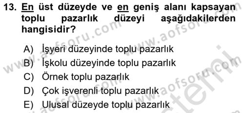 Endüstri İlişkileri Dersi 2025 - 2026 Yılı Yaz Okulu Sınav Soruları 13. Soru