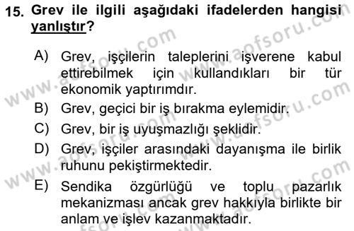 Endüstri İlişkileri Dersi 2025 - 2026 Yılı Yaz Okulu Sınav Soruları 15. Soru