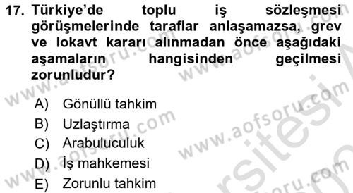 Endüstri İlişkileri Dersi 2025 - 2026 Yılı Yaz Okulu Sınav Soruları 17. Soru