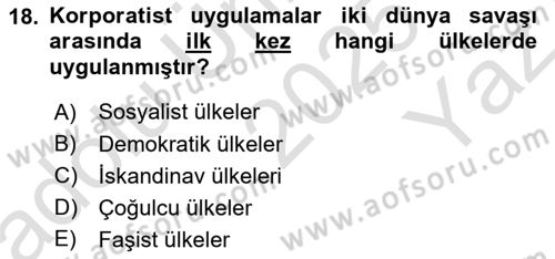 Endüstri İlişkileri Dersi 2025 - 2026 Yılı Yaz Okulu Sınav Soruları 18. Soru