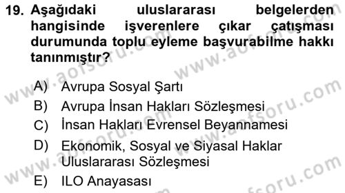 Endüstri İlişkileri Dersi 2025 - 2026 Yılı Yaz Okulu Sınav Soruları 19. Soru