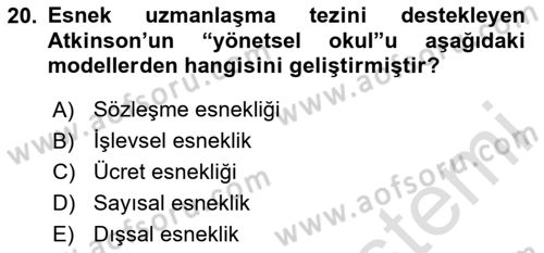 Endüstri İlişkileri Dersi 2025 - 2026 Yılı Yaz Okulu Sınav Soruları 20. Soru