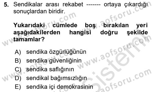 Endüstri İlişkileri Dersi 2025 - 2026 Yılı Yaz Okulu Sınav Soruları 5. Soru