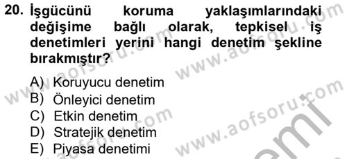 Çalışma Yaşamının Denetimi Dersi 2012 - 2013 Yılı (Final) Dönem Sonu Sınav Soruları 20. Soru
