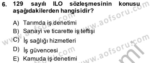 Çalışma Yaşamının Denetimi Dersi 2013 - 2014 Yılı (Vize) Ara Sınav Soruları 6. Soru