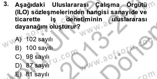 Çalışma Yaşamının Denetimi Dersi 2013 - 2014 Yılı (Final) Dönem Sonu Sınavı 3. Soru