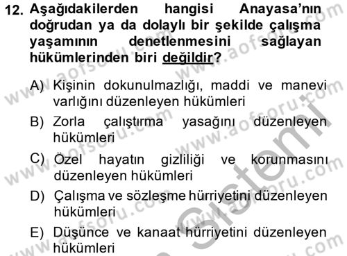 Çalışma Yaşamının Denetimi Dersi 2014 - 2015 Yılı (Vize) Ara Sınav Soruları 12. Soru