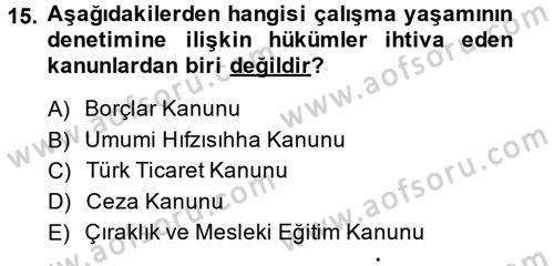 Çalışma Yaşamının Denetimi Dersi 2014 - 2015 Yılı (Vize) Ara Sınav Soruları 15. Soru