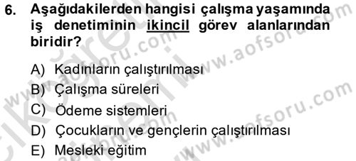 Çalışma Yaşamının Denetimi Dersi 2014 - 2015 Yılı Tek Ders Sınav Soruları 6. Soru