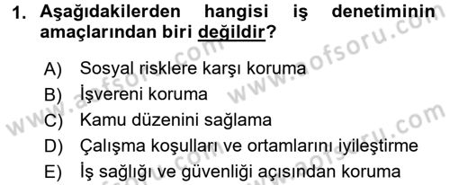 Çalışma Yaşamının Denetimi Dersi 2015 - 2016 Yılı (Final) Dönem Sonu Sınav Soruları 1. Soru
