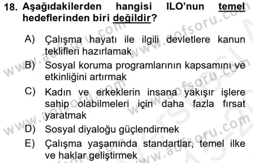 Çalışma Yaşamının Denetimi Dersi 2015 - 2016 Yılı Tek Ders Sınav Soruları 18. Soru