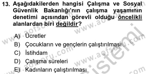 Çalışma Yaşamının Denetimi Dersi 2016 - 2017 Yılı (Vize) Ara Sınav Soruları 13. Soru