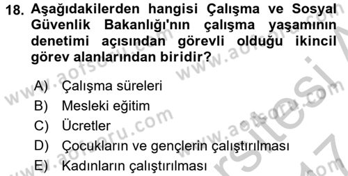 Çalışma Yaşamının Denetimi Dersi 2016 - 2017 Yılı (Vize) Ara Sınav Soruları 18. Soru