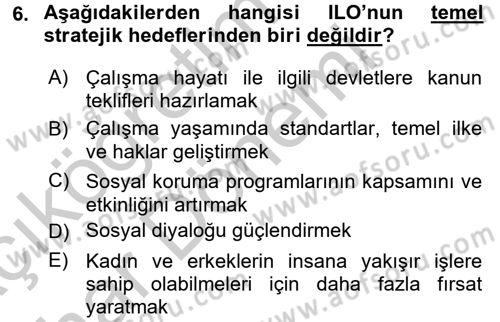 Çalışma Yaşamının Denetimi Dersi 2016 - 2017 Yılı (Vize) Ara Sınav Soruları 6. Soru