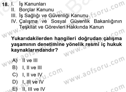 Çalışma Yaşamının Denetimi Dersi 2017 - 2018 Yılı (Vize) Ara Sınav Soruları 18. Soru