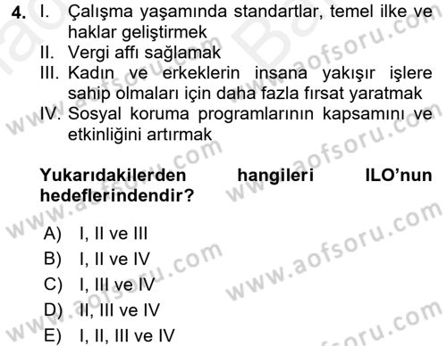 Çalışma Yaşamının Denetimi Dersi 2017 - 2018 Yılı (Vize) Ara Sınav Soruları 4. Soru
