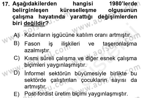 Çalışma Yaşamının Denetimi Dersi 2017 - 2018 Yılı (Final) Dönem Sonu Sınav Soruları 17. Soru