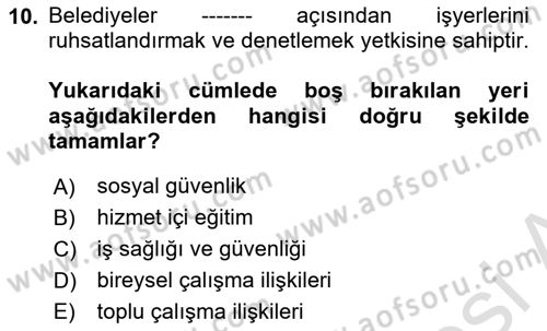 Çalışma Yaşamının Denetimi Dersi 2018 - 2019 Yılı 3 Ders Sınav Soruları 10. Soru