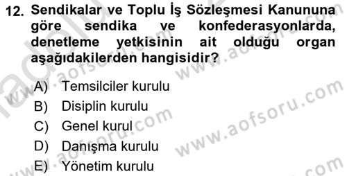 Çalışma Yaşamının Denetimi Dersi 2018 - 2019 Yılı 3 Ders Sınav Soruları 12. Soru