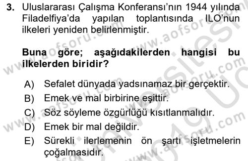 Çalışma Yaşamının Denetimi Dersi 2018 - 2019 Yılı 3 Ders Sınav Soruları 3. Soru