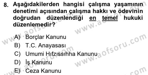 Çalışma Yaşamının Denetimi Dersi 2018 - 2019 Yılı 3 Ders Sınav Soruları 8. Soru