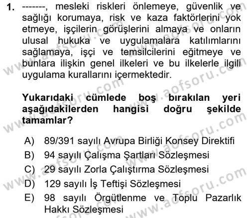 Çalışma Yaşamının Denetimi Dersi 2018 - 2019 Yılı (Vize) Ara Sınav Soruları 1. Soru