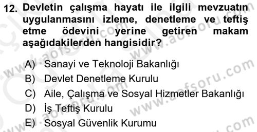 Çalışma Yaşamının Denetimi Dersi 2018 - 2019 Yılı (Vize) Ara Sınav Soruları 12. Soru
