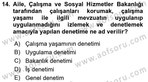 Çalışma Yaşamının Denetimi Dersi 2018 - 2019 Yılı (Vize) Ara Sınav Soruları 14. Soru