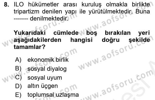 Çalışma Yaşamının Denetimi Dersi 2018 - 2019 Yılı (Vize) Ara Sınav Soruları 8. Soru