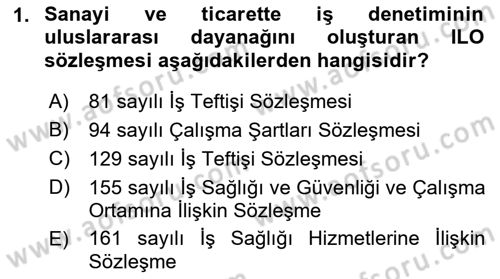 Çalışma Yaşamının Denetimi Dersi 2018 - 2019 Yılı (Final) Dönem Sonu Sınav Soruları 1. Soru