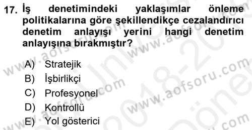 Çalışma Yaşamının Denetimi Dersi 2018 - 2019 Yılı (Final) Dönem Sonu Sınav Soruları 17. Soru