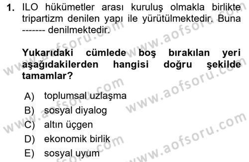 Çalışma Yaşamının Denetimi Dersi 2018 - 2019 Yılı Yaz Okulu Sınav Soruları 1. Soru