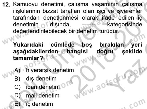 Çalışma Yaşamının Denetimi Dersi 2018 - 2019 Yılı Yaz Okulu Sınav Soruları 12. Soru
