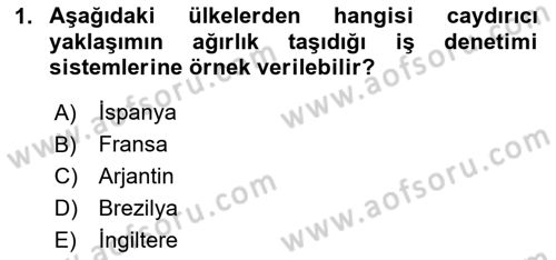 Çalışma Yaşamının Denetimi Dersi 2020 - 2021 Yılı Yaz Okulu Sınav Soruları 1. Soru