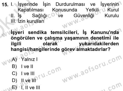Çalışma Yaşamının Denetimi Dersi 2020 - 2021 Yılı Yaz Okulu Sınav Soruları 15. Soru