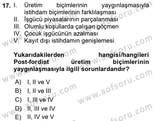 Çalışma Yaşamının Denetimi Dersi 2020 - 2021 Yılı Yaz Okulu Sınav Soruları 17. Soru