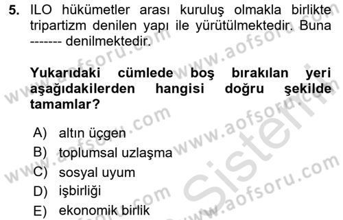 Çalışma Yaşamının Denetimi Dersi 2020 - 2021 Yılı Yaz Okulu Sınav Soruları 5. Soru
